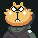 Gold Raccoon
